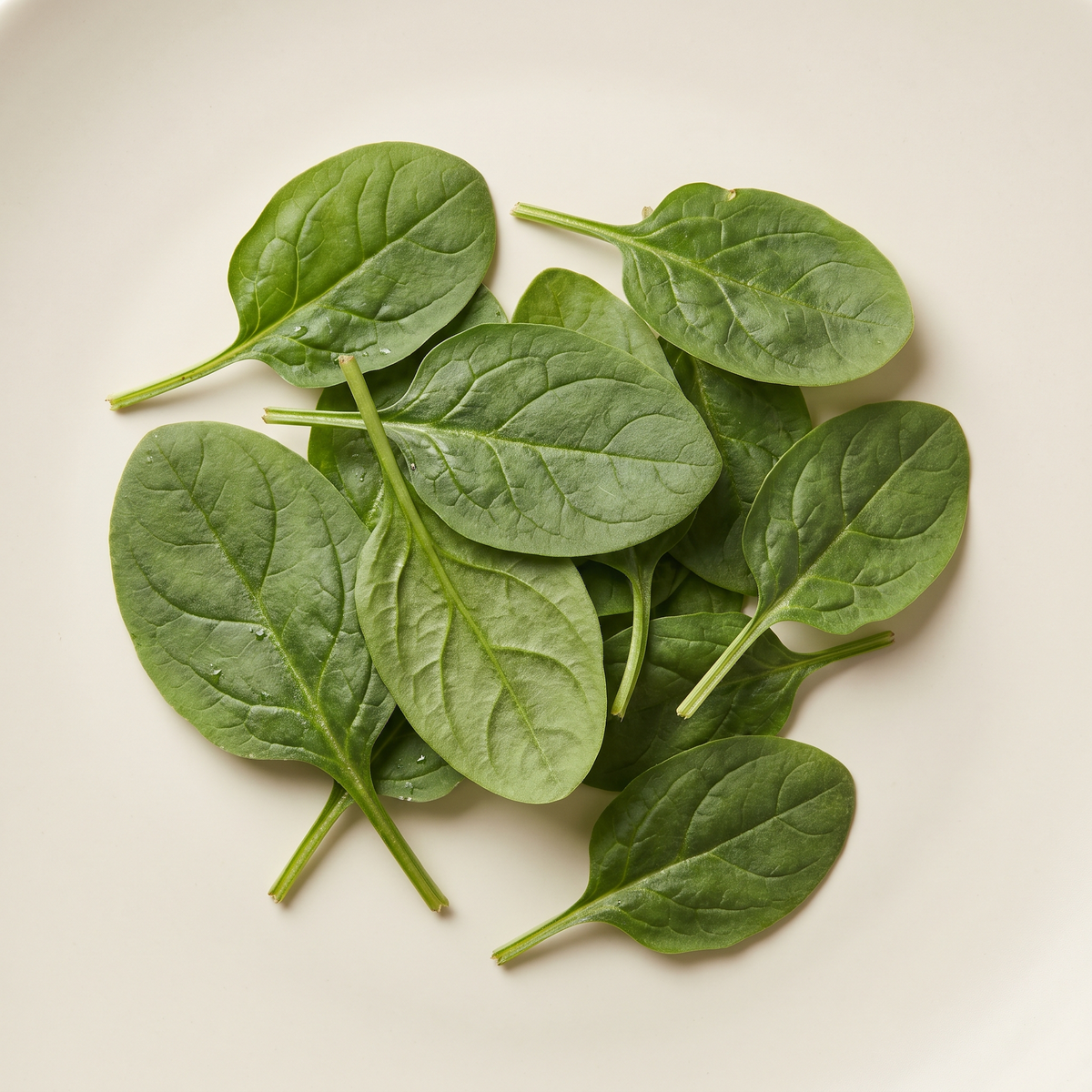 Fresh spinach leaves