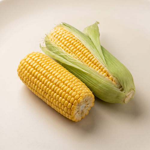 two short sections of golden sweetcorn on the cob, one partly wrapped in fresh green husk