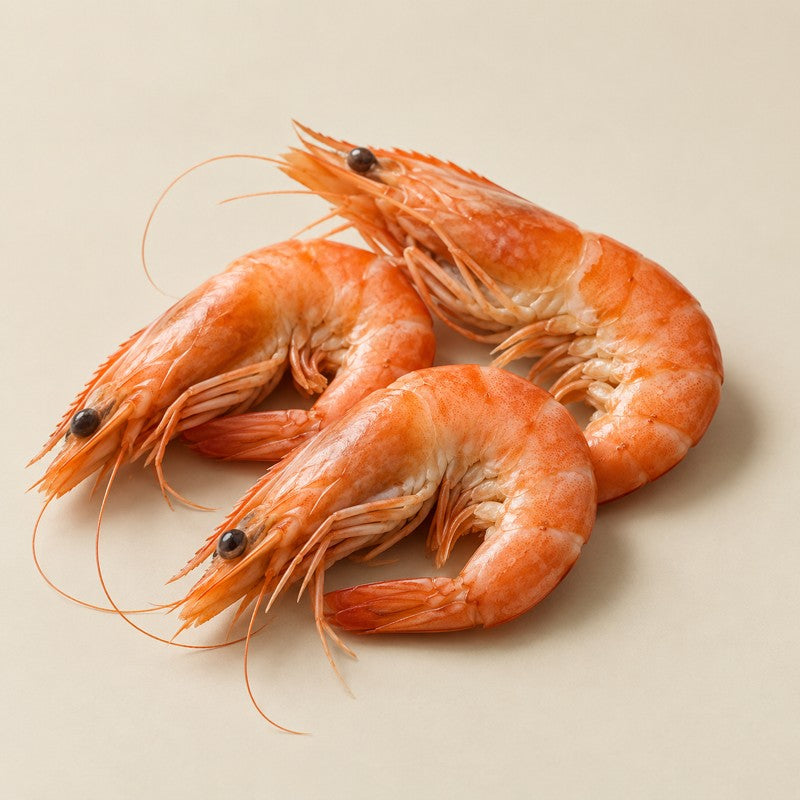 Pink-orange shrimp, illustrating a natural food source of astaxanthin.